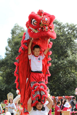 圖片