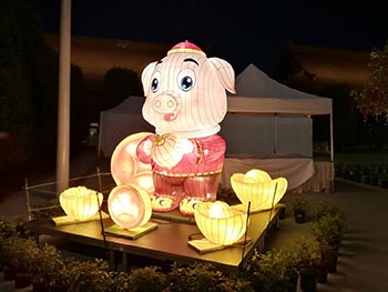 圖片